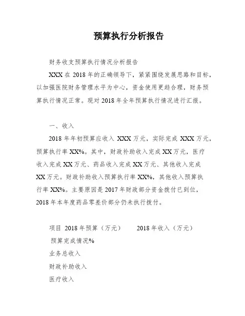 预算执行分析报告