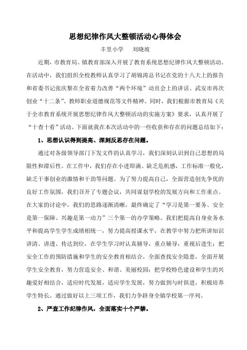 思想纪律作风大整顿活动心得体会