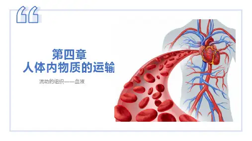 流动的组织——血液