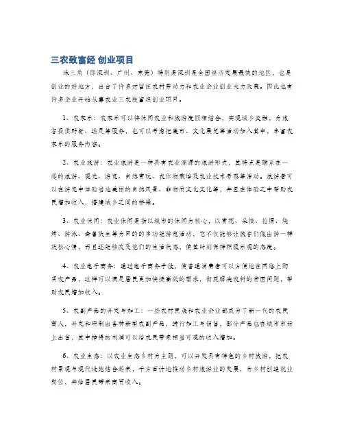 三农致富经 创业项目