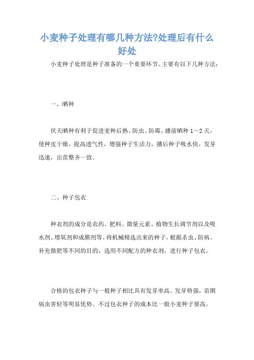 小麦种子处理有哪几种方法-处理后有什么好处