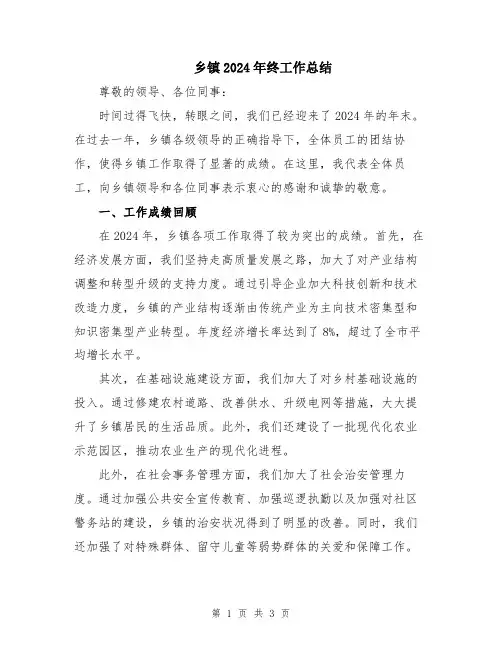 乡镇2024年终工作总结