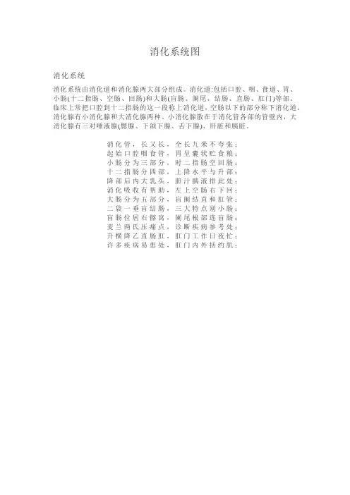 消化系统解剖图