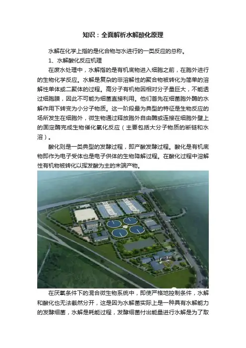 知识：全面解析水解酸化原理