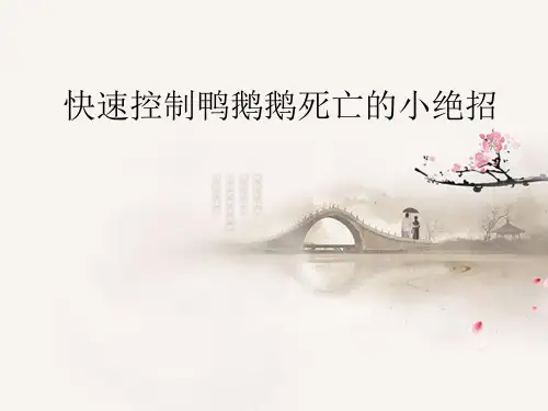 快速控制鸭鹅死亡的小绝招PPT