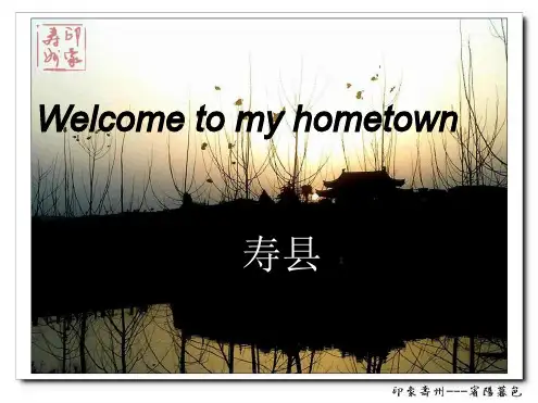 我的家乡寿县