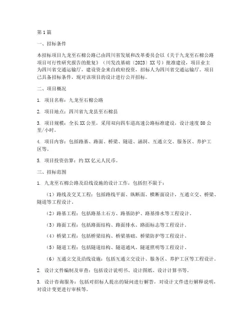 九龙到石棉公路设计招标(3篇)