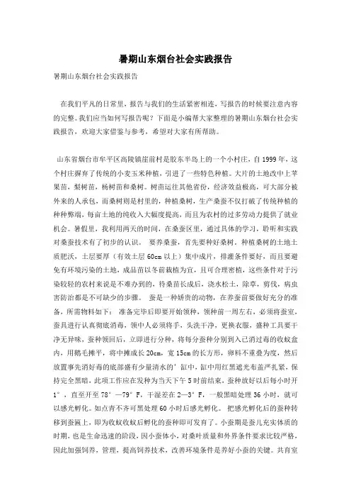 暑期山东烟台社会实践报告