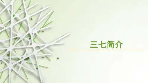 演示文稿