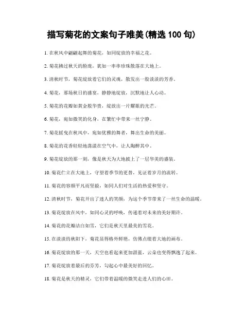 描写菊花的文案句子唯美(精选100句)