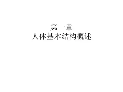 第一章人体结构概述PPT课件