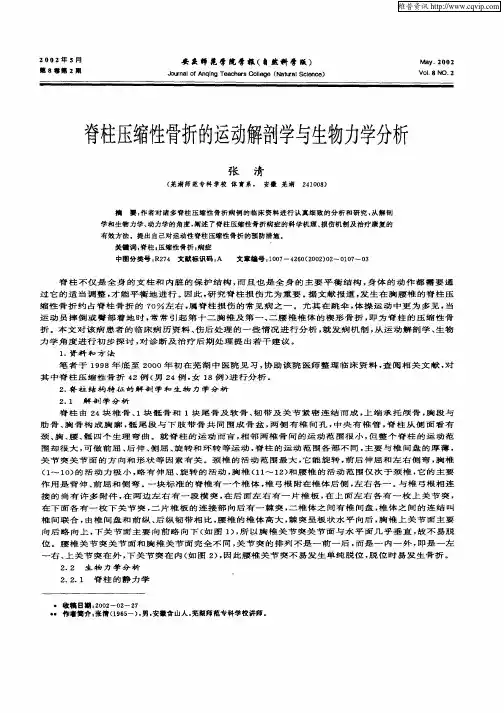脊柱压缩性骨折的运动解剖学与生物力学分析