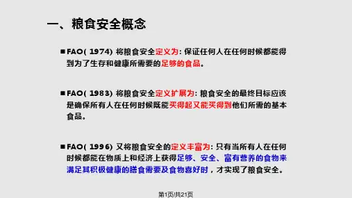 粮食安全PPT课件