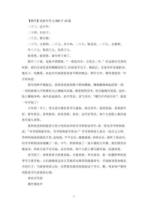 迎新年优秀作文800字10篇