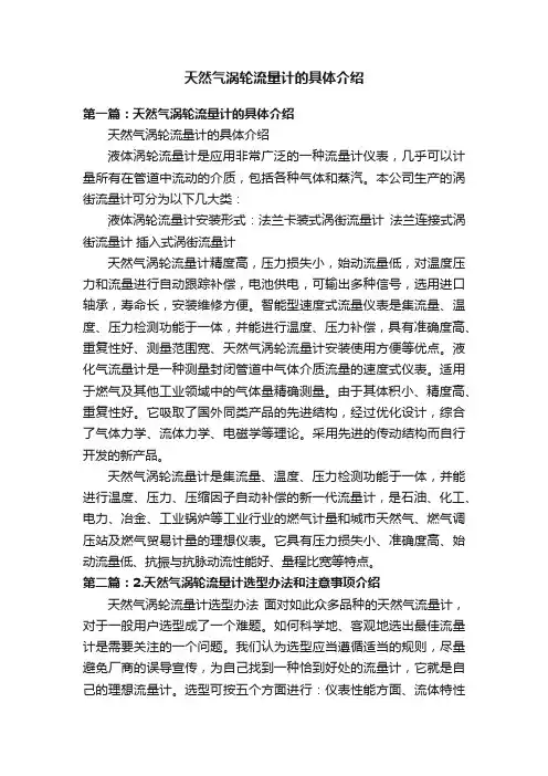 天然气涡轮流量计的具体介绍