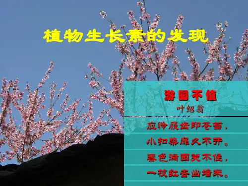 第1节植物生长素的发现ppt