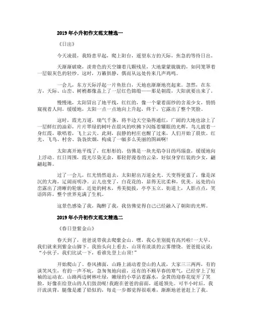 2019年小升初作文范文精选