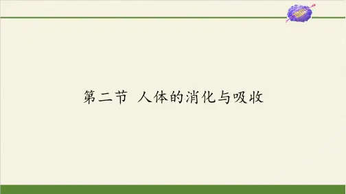 苏教版初中生物七年级下册课件-4.9.2 人体的消化与吸收6
