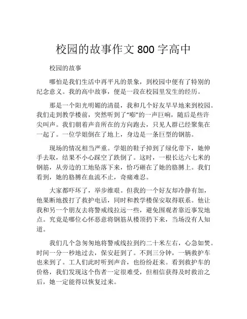校园的故事作文800字高中