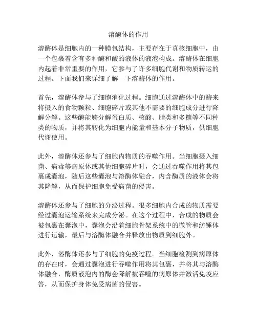 溶酶体的作用