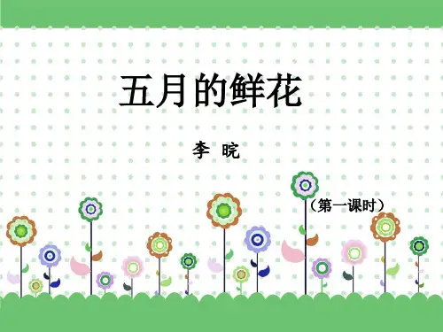五月的鲜花(1)
