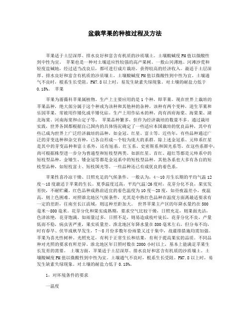 盆栽苹果的种植过程及方法