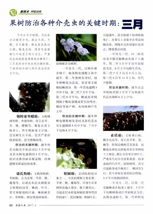 果树防治各种介壳虫的关键时期：三月