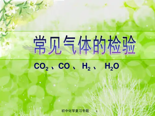 混合气体的检验