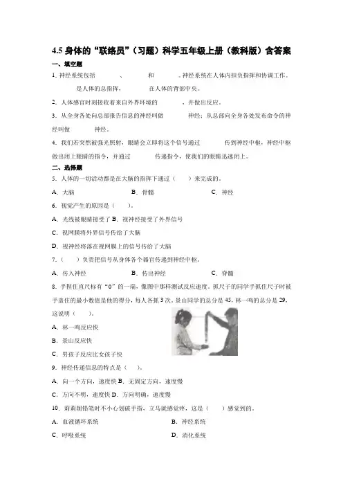 教科版科学小学五年级上册4.5身体的“联络员”(习题)含答案
