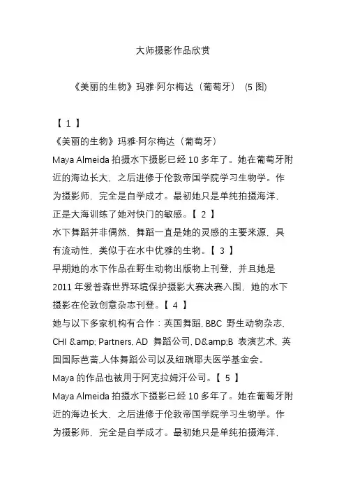 大师摄影作品欣赏