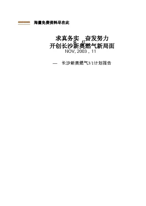 新奥燃气规划报告