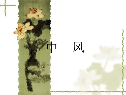 中医内科学课件：中风