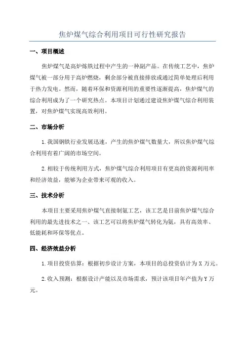 焦炉煤气综合利用项目可行性研究报告