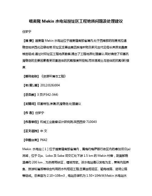 喀麦隆Mekin水电站坝址区工程地质问题及处理建议
