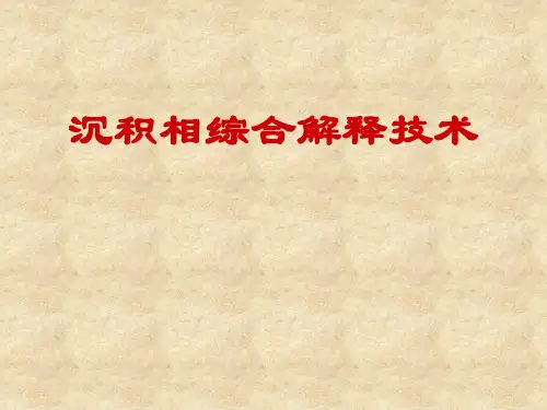 沉积相综合解释技术1