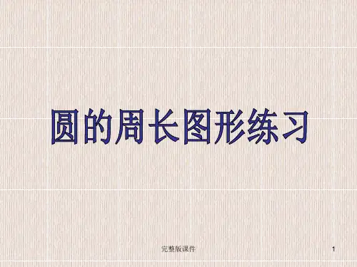 圆的周长图形练习ppt课件
