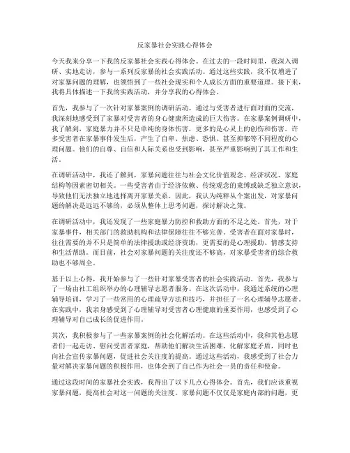 反家暴社会实践心得体会