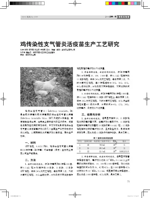 鸡传染性支气管炎活疫苗生产工艺研究