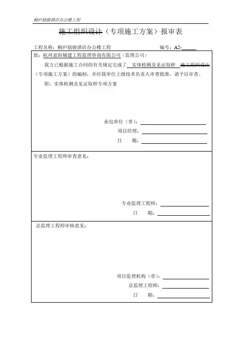 实体检测专项施工方案