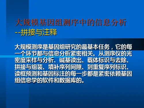 大规模基因组测序中的信息分析ppt课件