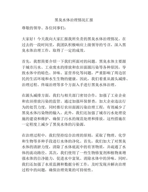 黑臭水体治理情况汇报