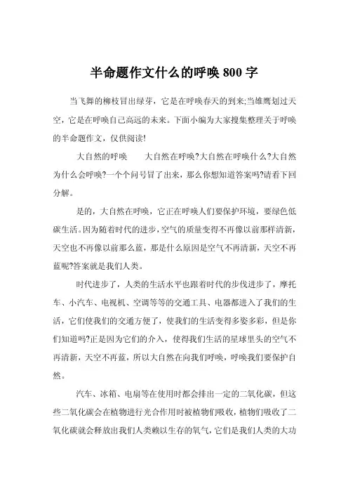 半命题作文什么的呼唤800字