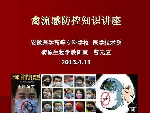 h7n9禽流感防控知识讲座ppt课件