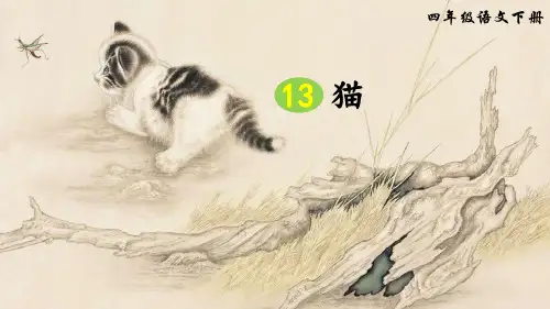 部编版四年级语文下册第13课《猫》优质PPT课件
