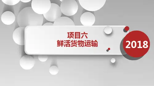 铁路货运组织项目六