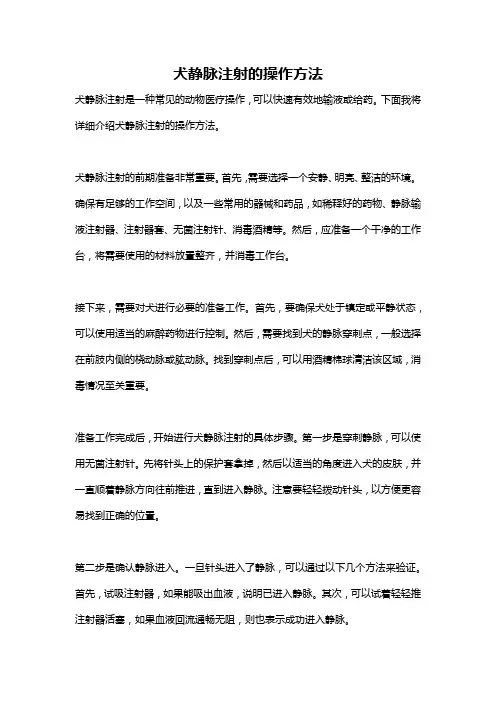 犬静脉注射的操作方法