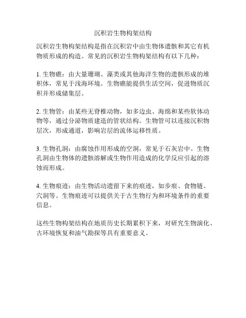 沉积岩生物构架结构