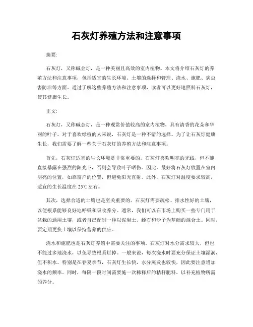 石灰灯养殖方法和注意事项