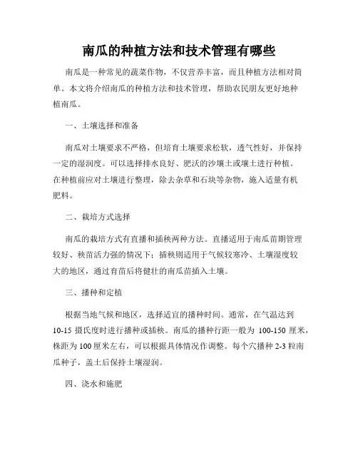 南瓜的种植方法和技术管理有哪些