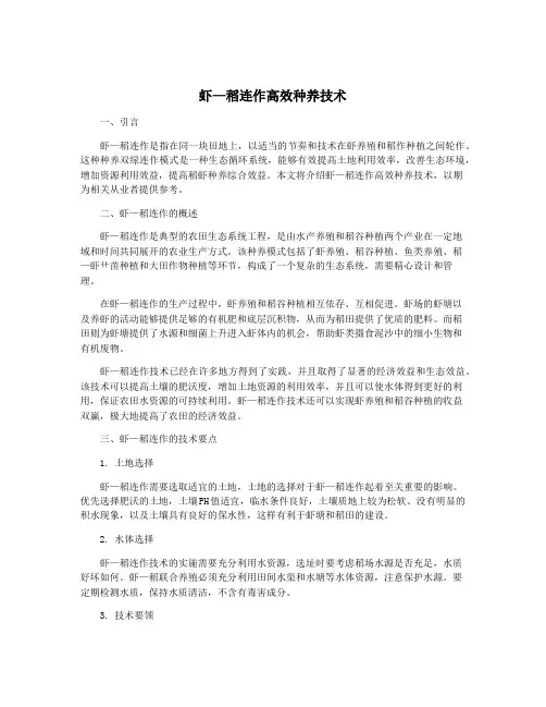 虾—稻连作高效种养技术
